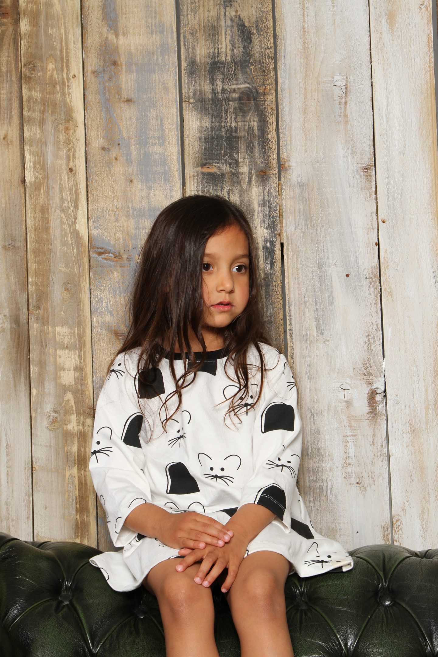 Mouse dress mouse-print-dress