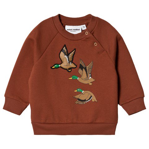 Brown duck sweatshirt brown-boys-sweatshirt