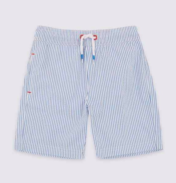 Striped swim shorts blue-stripe-swim-shorts