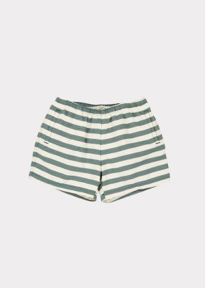 Green striped swim shorts
