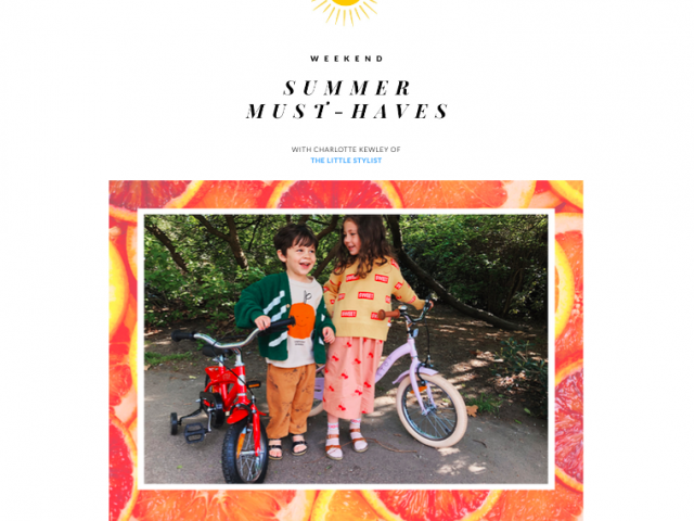 the-little-stylist-press
