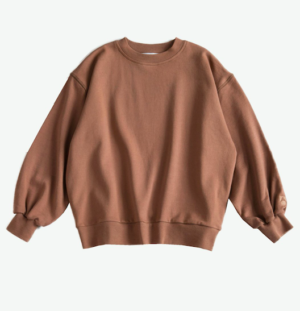 Rust sweatshirt