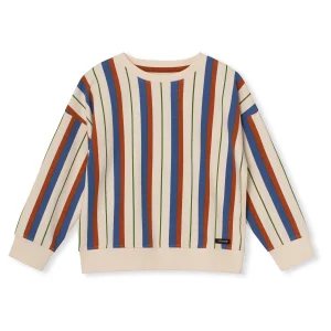 striped sweatshirt