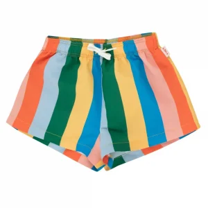 rainbow stripe swims shorts