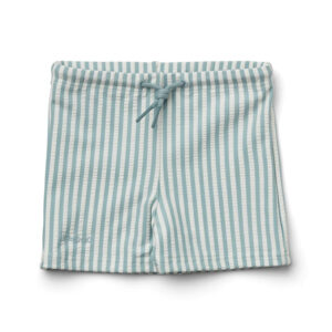 kids seersucker swim pants