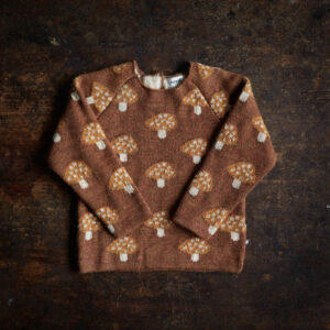 aplaca mushroom sweater