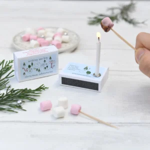 mini marshmallow toasting kit