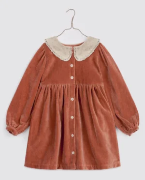 velvet lace collar dress