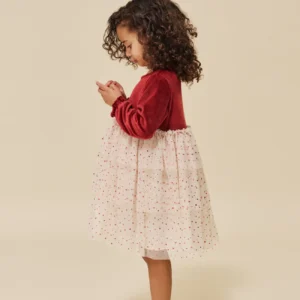 velvet party dress