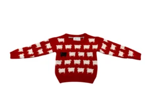 kids red knit jumper