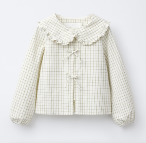 checked collar blouse