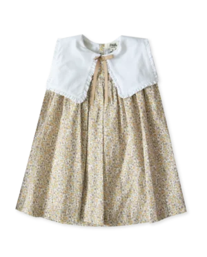 collar dress