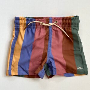 colourful striped swim shorts