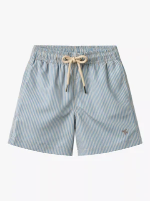 blue striped swim shorts