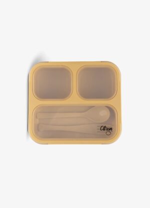 kids bento box