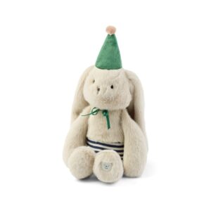 rabbit in party hat