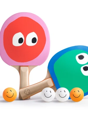 ping pong set