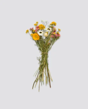 wildflowers