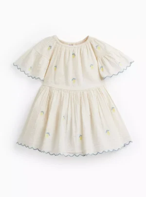lemon embroidered dress